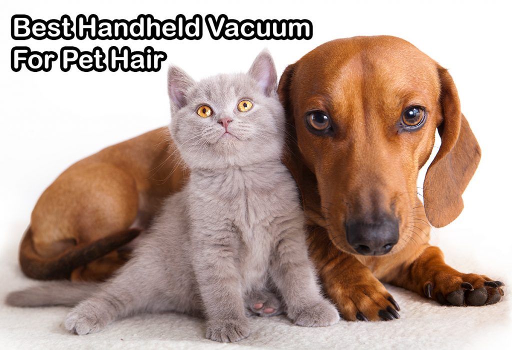 Spotless Vacuum's list of the best handheld pet vacuums